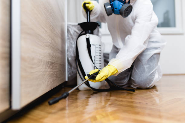 Trusted Davenport, IA Pest Control Experts
