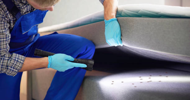 Professional Pest Control in Davenport, IA